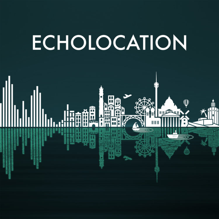 echolocation-water-flat-square